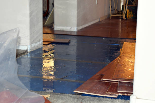 Professional Burst Pipe Cleanup technician working in Oradell, NJ